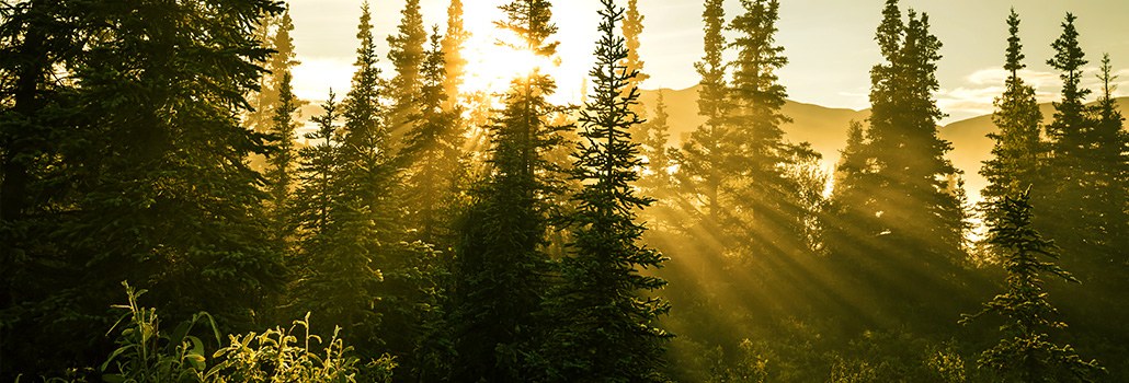 h-shutterstock_110553674.jpg